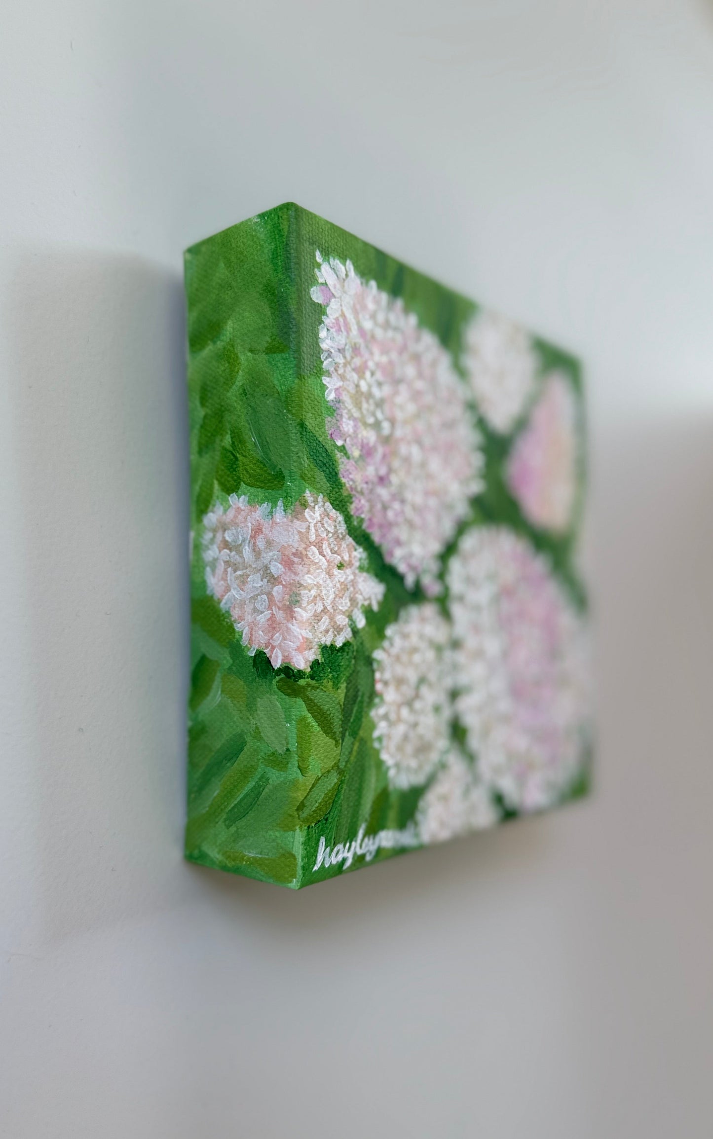 White Panicle Hydrangea mini