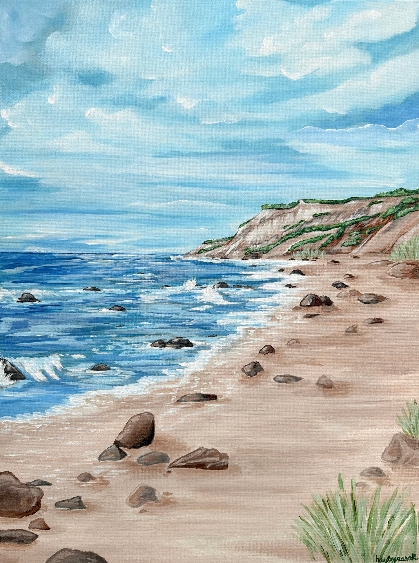 Rocky Shoreline Print
