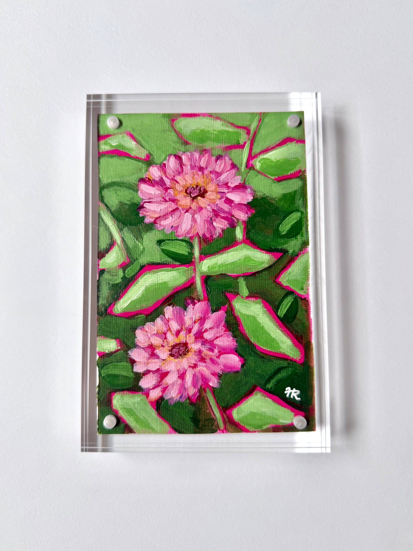Pink Zinnias
